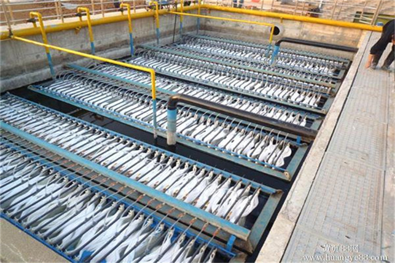 1725894209547704.jpg 2077c964368bec3d.jpg