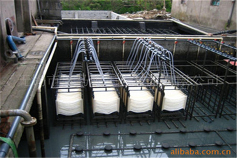 1725894217158955.jpg 682749337.jpg